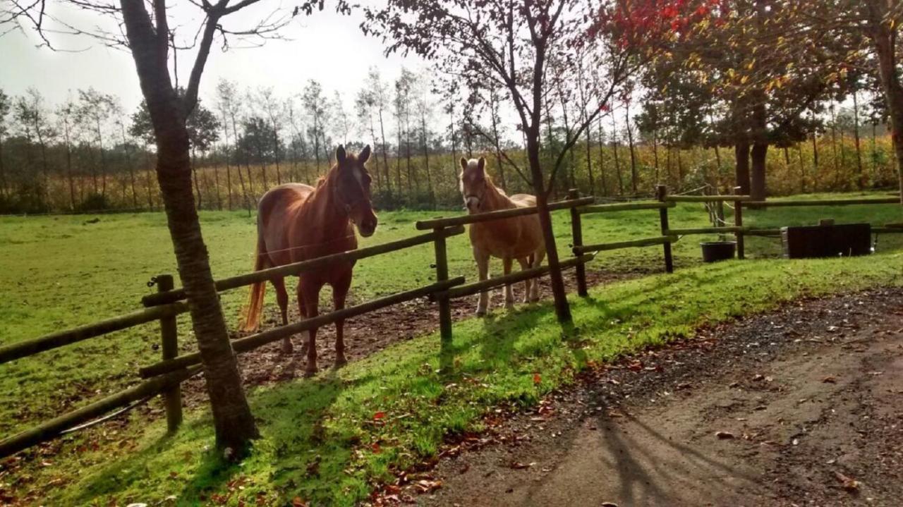 Vakantiehuisjes Landgoed Sonneborghe Kollumerzwaag Buitenkant foto