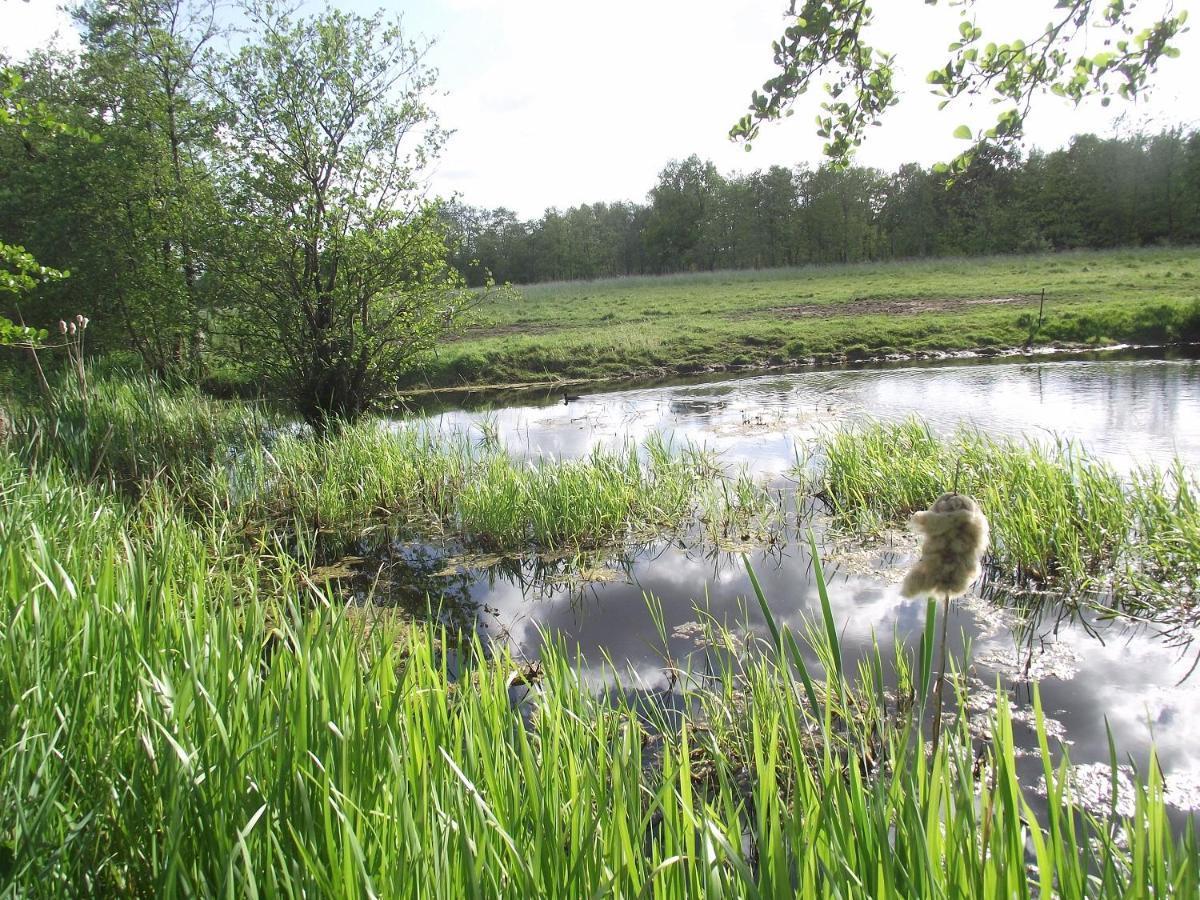 Vakantiehuisjes Landgoed Sonneborghe Kollumerzwaag Buitenkant foto