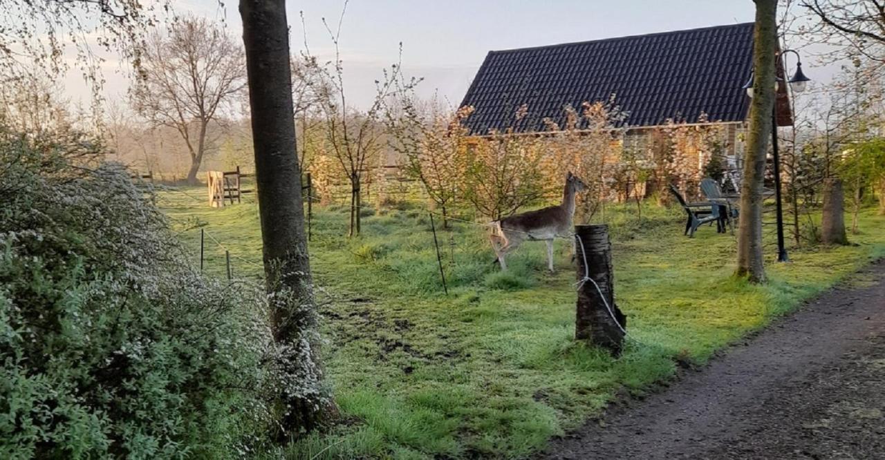 Vakantiehuisjes Landgoed Sonneborghe Kollumerzwaag Buitenkant foto
