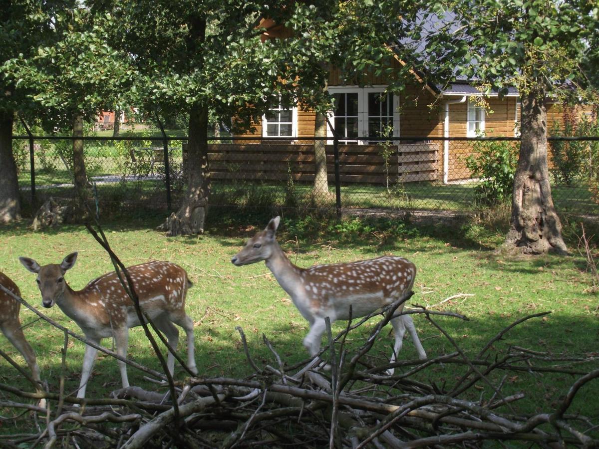Vakantiehuisjes Landgoed Sonneborghe Kollumerzwaag Buitenkant foto